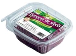 ECO Germeni de sfecla