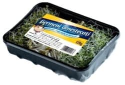ECO Germeni amestecati