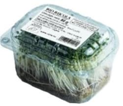 ECO Microverdeturi de rucola