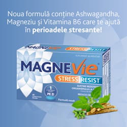 MAGNEVIE STRESS RESIST ASHWAGANDHA 30 COMPRIMATE FILMATE