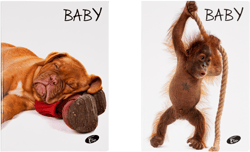 Elisa Caiet TIP1, 36 file, 80gsm, coperta carton 300gsm, design baby pets