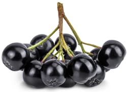 Bioferma Niculesti ECO Aronia