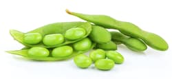Bioferma Niculesti ECO Edamame proaspete romanesti