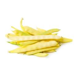 Bioferma Niculesti ECO Fasole galbena lata