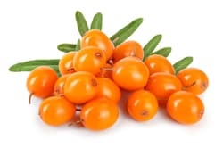 Bioferma Niculesti ECO Catina