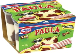 Dr. Oetker Paula vanilie si ciocolata