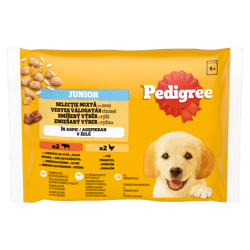 Pedigree Hrana umeda pentru catei junior, cu gust mix