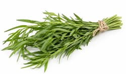 Ferma Sarai (in ECO conversion)Fresh Tarragon link