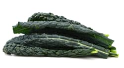 Bioferma Niculesti ECO Kale Nero di Toscana