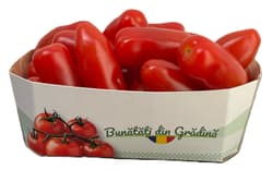 Bunatati din Gradina Rosii cherry San Marzano