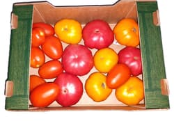 ECO Rosii dobrogene lada de 3 kg