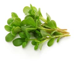 Legume Verzi Baleni Iarba grasa caseraola 150 gr