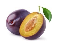 Prune romanesti punga de la Chiselet , jud Calarasi