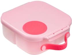Mini Lunchbox