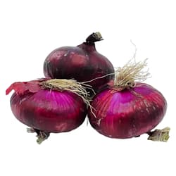 Legume Verzi Baleni Ceapa rosie ambalata