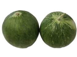 Castraveti Barattieri