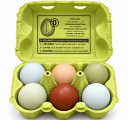 Agroland ECO Eggs