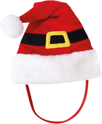 Nobby Santa Hat for Dogs