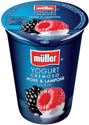 Muller Yogurt with blackberries and raspberries