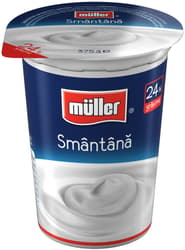 Muller Sour Cream 24%