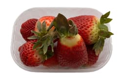 ECO Strawberries