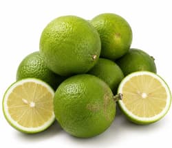 ECO Lamai