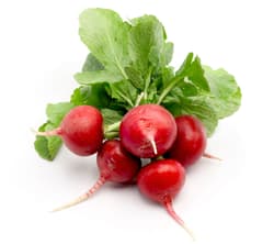 Bioferma Niculesti ECO Ridichi rosii romanesti