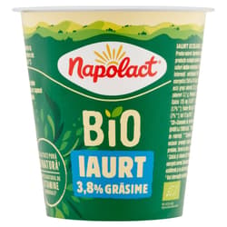 Napolact ECO Iaurt 3.8% grasime pahar