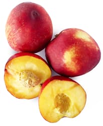 Nectarine caserola