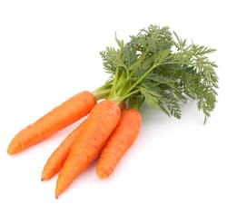 Carrots bunch
