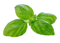 Legaturi de verdeturi