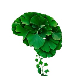 Neurovegetative Disorders