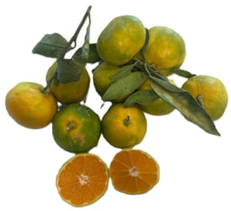 Clementine si mandarine