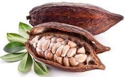 Fructe si legume
