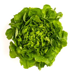 Legume Eco