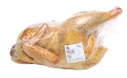 Poultry