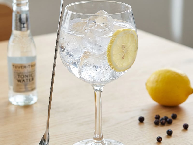 Gin Tonic cu alcool