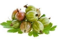Cosul cu Fructe ECO Agrise Romania caserola
