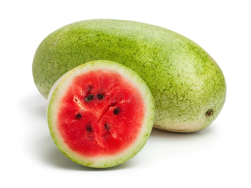 Cantaloupe