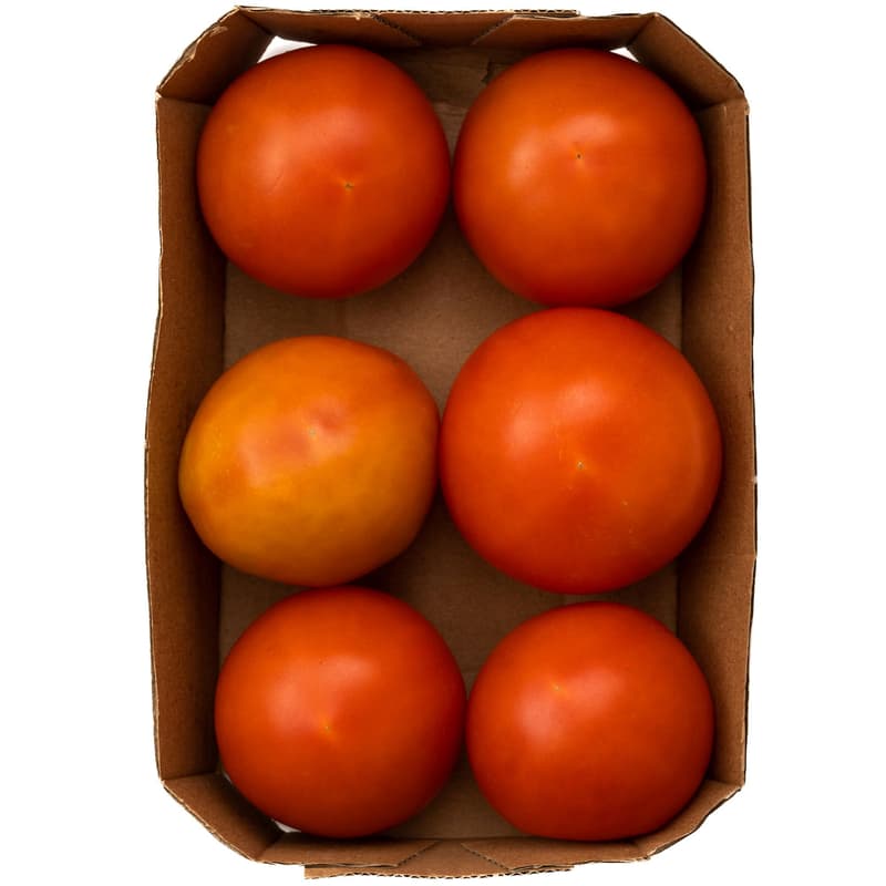 ECO Romanian "Red Brandywine" Tomatoes