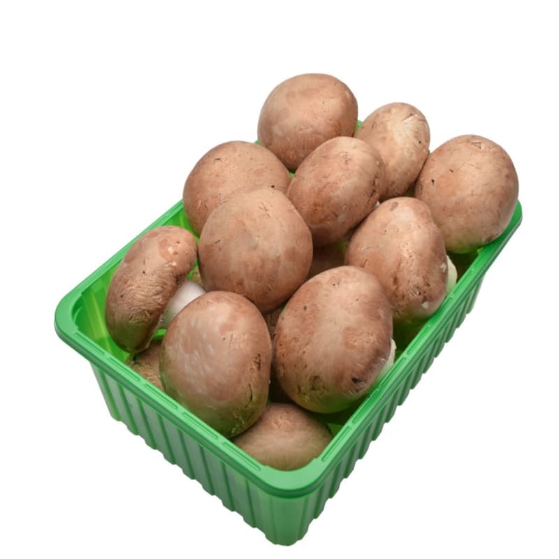 Ciuperci champignon brune grill
