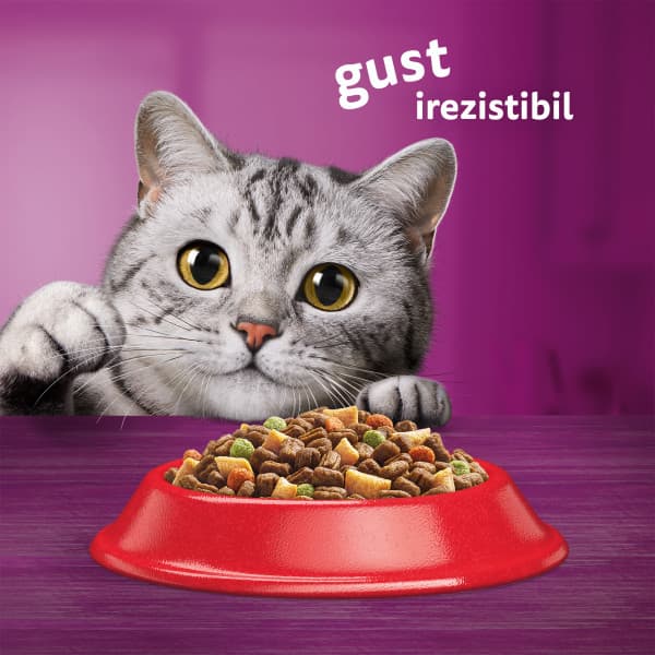 Whiskas Dry Food with Beef for Adult Cats