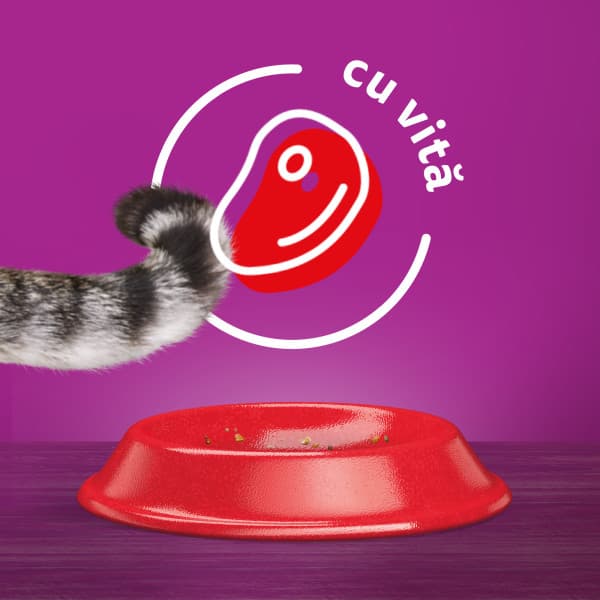 Whiskas Dry Food with Beef for Adult Cats