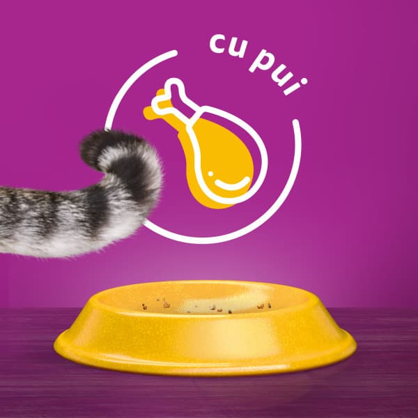 Whiskas Hrana uscata cu pui pentru pisici adulte