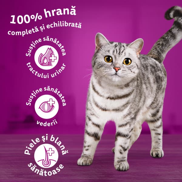 Whiskas Hrana uscata cu pui pentru pisici adulte