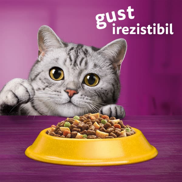 Whiskas Hrana uscata cu pui pentru pisici adulte