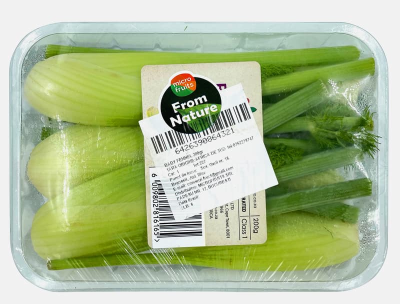 Baby Fennel