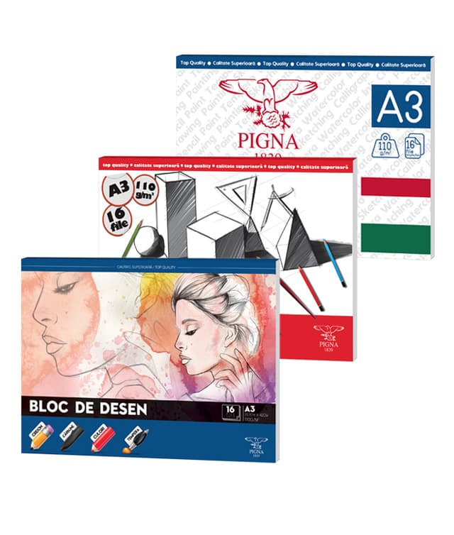 Pigna Bloc desen A3,16 coli