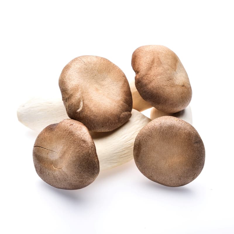 Ciuperci king oyster