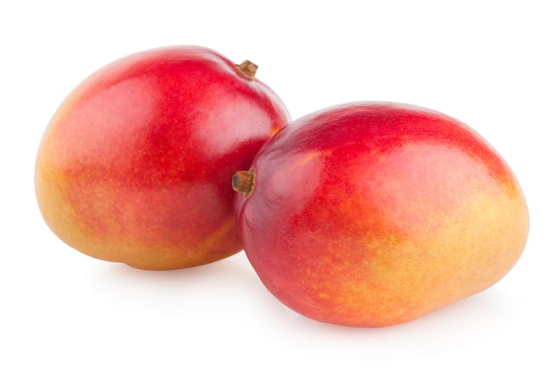 ECO Mango Osteen